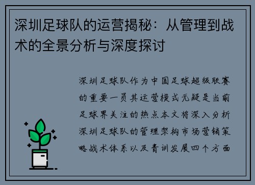 深圳足球队的运营揭秘：从管理到战术的全景分析与深度探讨