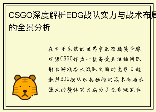 CSGO深度解析EDG战队实力与战术布局的全景分析