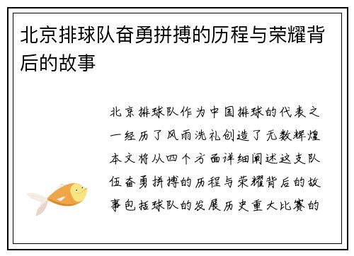 北京排球队奋勇拼搏的历程与荣耀背后的故事